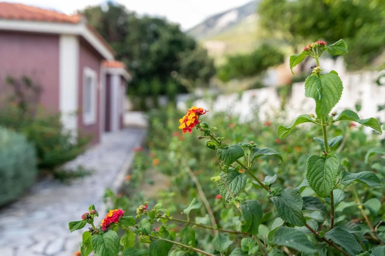 Lorraine'S Apartments Close To Lourdas Beach Lourdata  Greece
