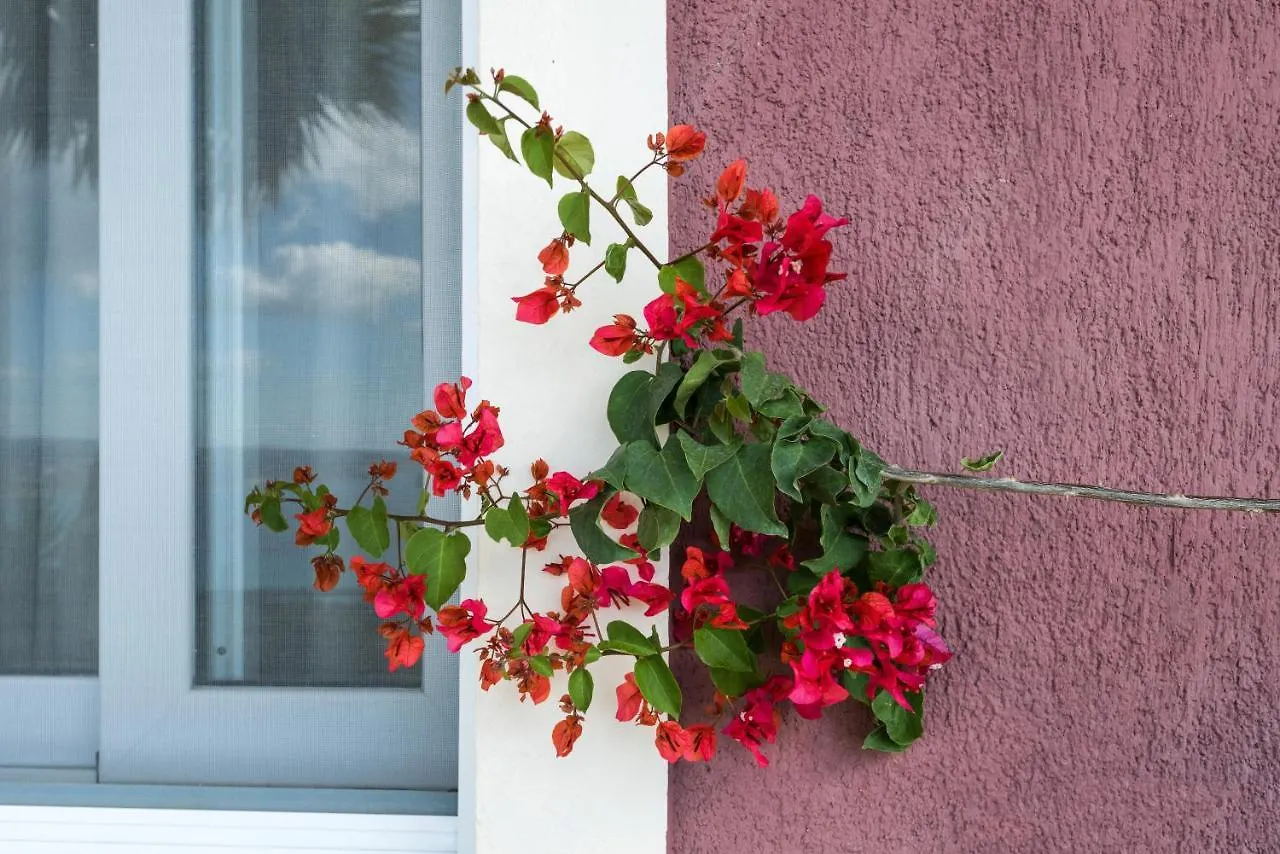 Lorraine'S Apartments Close To Lourdas Beach Lourdata   Lourdata (Kefalonia)