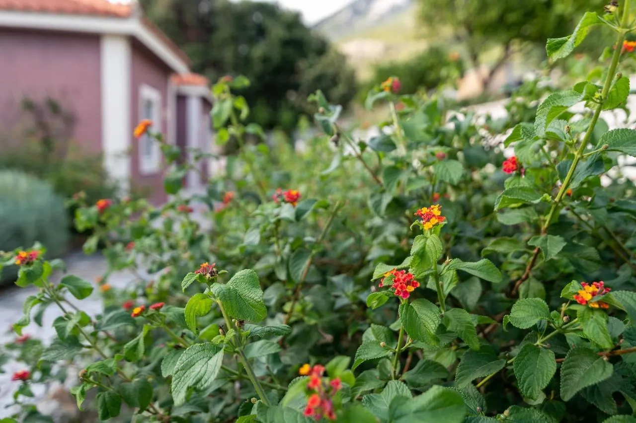 Lorraine'S Cottage Style Studios, Swimming Pool And Bbq Only For Guests Lourdata  0*, Lourdata (Kefalonia) Grecja